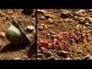 452190_13700_n_1