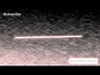 453648_69036_n_1