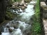 454106_42831_n_1