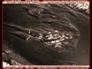 455150_80773_n_1