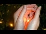 455887_75810_n_1