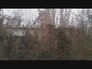 455903_27839_n_2