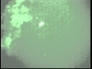 456493_18422_n_1