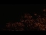 457686_92954_n_1