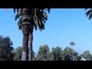 457834_83494_n_1