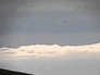 458163_45769_n_1