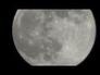 461209_42477_n_1