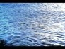 463631_73804_n_1