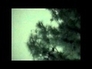 464181_78878_n_1