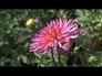 465608_90554_n_1