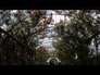 465706_29431_n_1