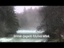 467090_91739_n_1