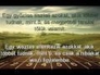 468385_13368_n_1