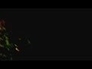 468704_44915_n_1