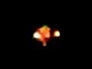 468744_53968_n_1