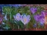 469163_13920_n_1