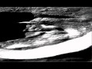 469929_72083_n_1