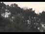 406480_14253_n_1