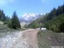 460232_25927_n_1