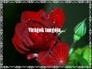 471208_92368_n_1