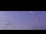 472134_80366_n_1