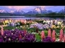 472760_47892_n_1