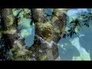 472771_98641_n_1