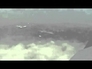 473087_83041_n_1