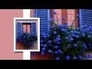 473640_72062_n_1