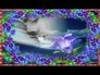 473971_10354_n_1