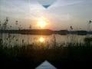 474710_77289_n_1