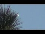 475074_71254_n_1