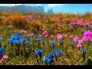 475142_41677_n_1