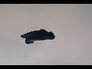 475861_48419_n_1