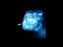 475864_81577_n_1