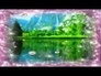 477920_81987_n_1