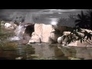 478096_70389_n_1