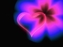 479367_79212_n_1