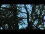 407025_65820_n_1
