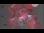 407249_27355_n_1