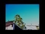 407537_66632_n_1