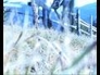 470127_67174_n_1