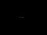 481131_99231_n_1