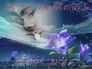 484354_53306_n_3