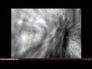 484832_51840_n_1