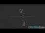 408400_47703_n_1