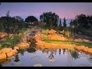 408556_11617_n_1