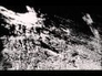 480175_35107_n_1