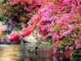 480308_93710_n_1