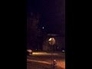 491107_47695_n_1